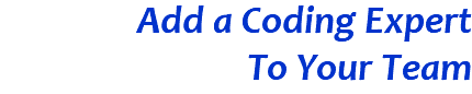 Add a Coding Expert To Your Team